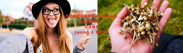 винт Алексин