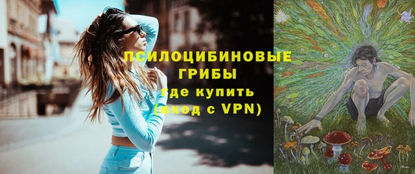 винт Алексин