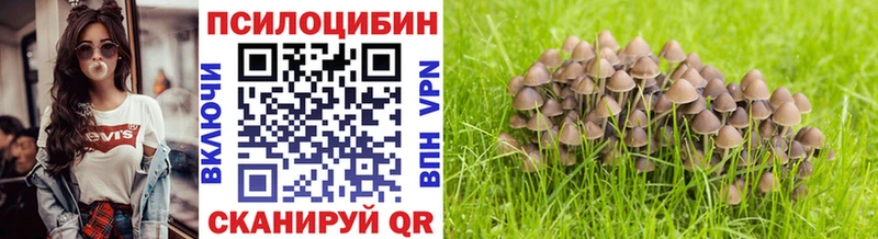 Псилоцибиновые грибы Magic Shrooms  хочу наркоту  OMG зеркало  Азов 